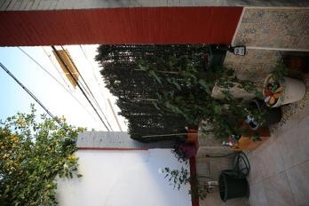 Appartement Abuelo Rafael *